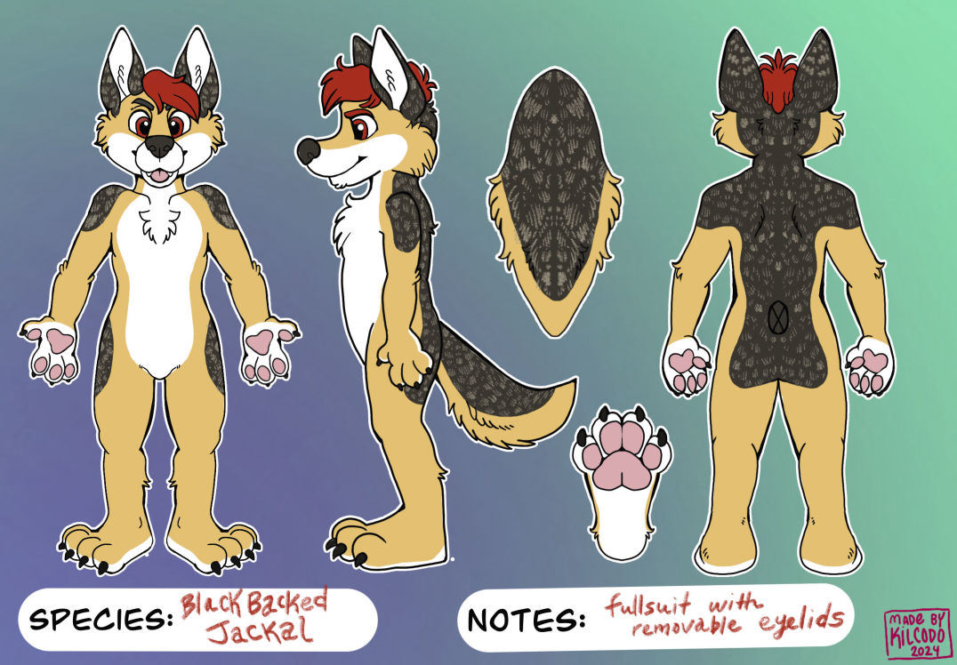 black backed jackal fursuit design