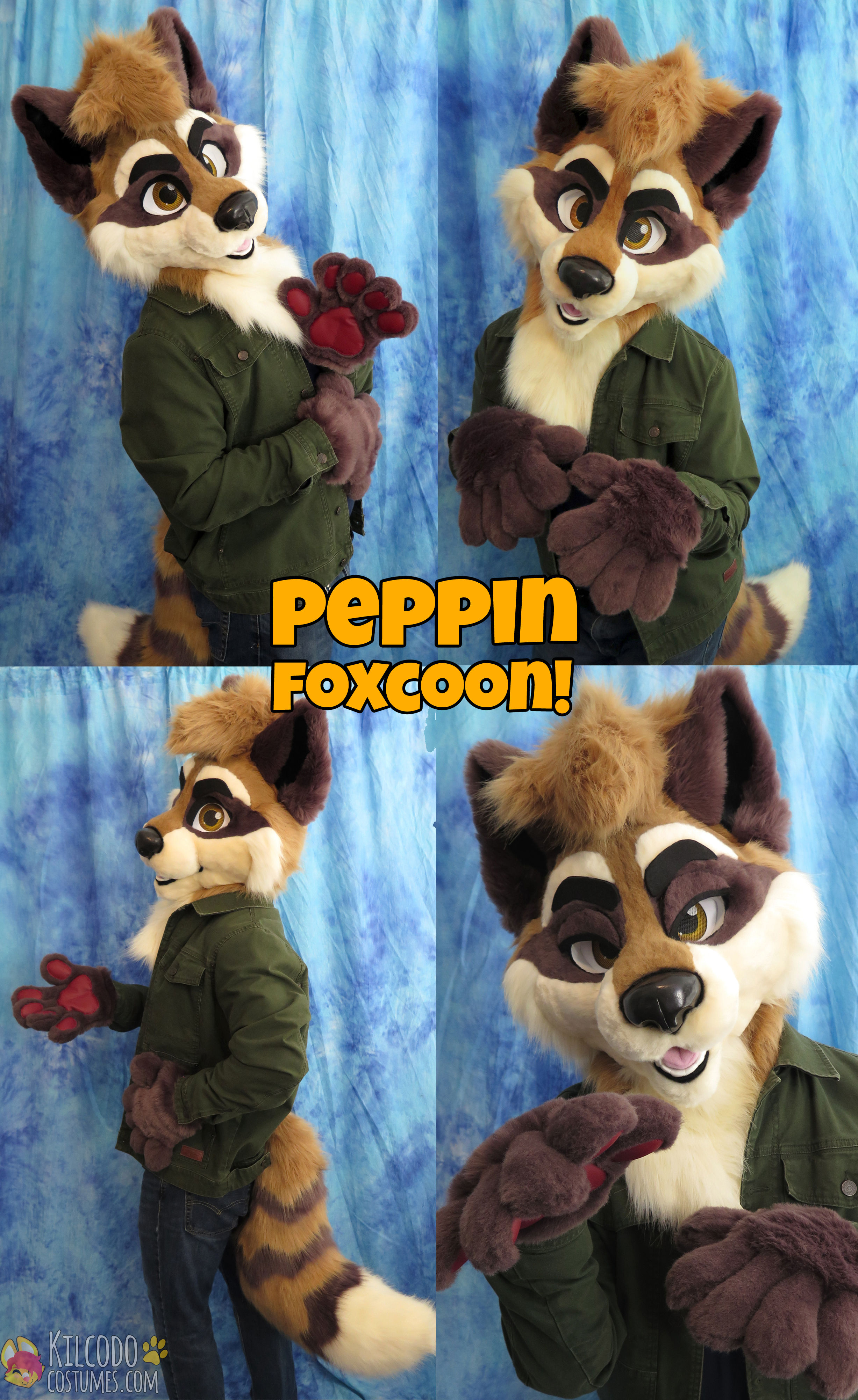 Peppin FoxCoon